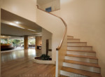pine-tree-8650-lautner-1