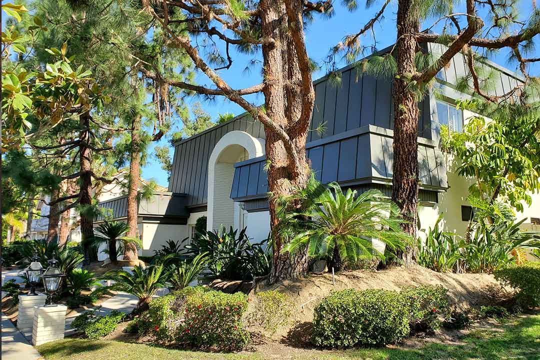 Bel Air Park / Casiano Estates Modern French Design