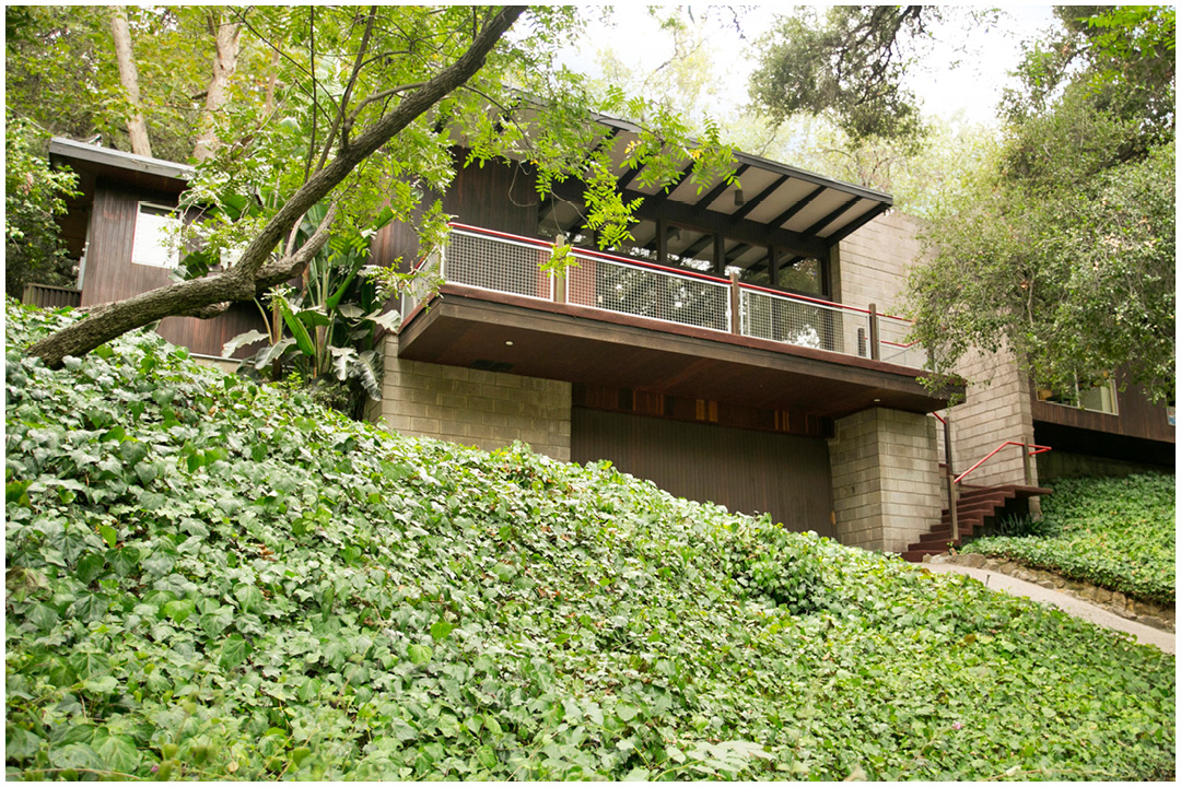 Mid-century Treehouse